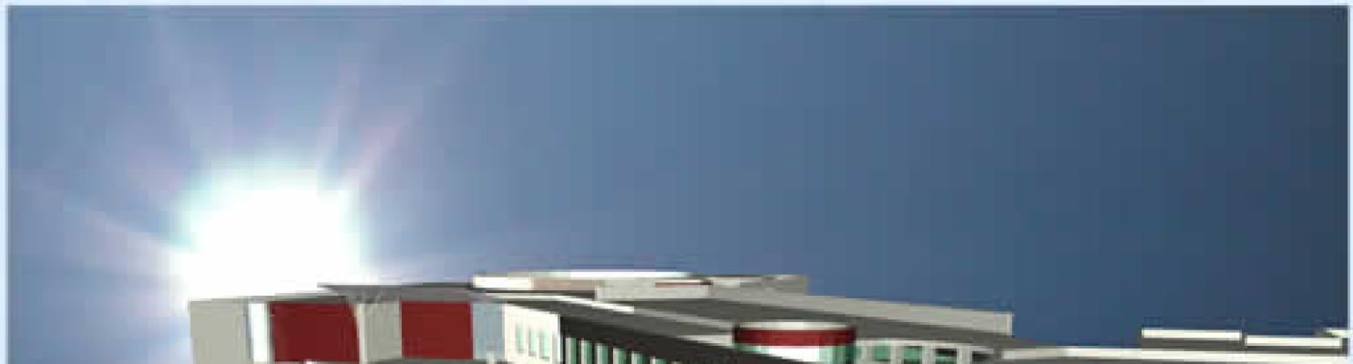 Institut Africain de Professionnalisation en Management 